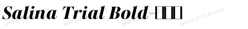 Salina Trial Bold字体转换